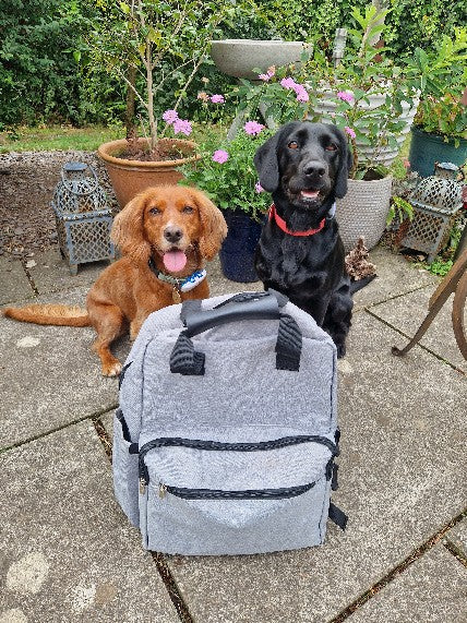 Dog Travel Bag & Pet Organiser Backpack