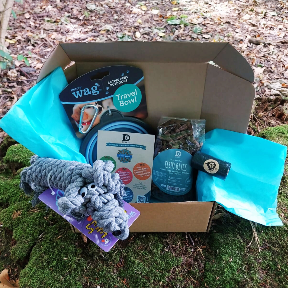 The Happy Tails Adventure Kit