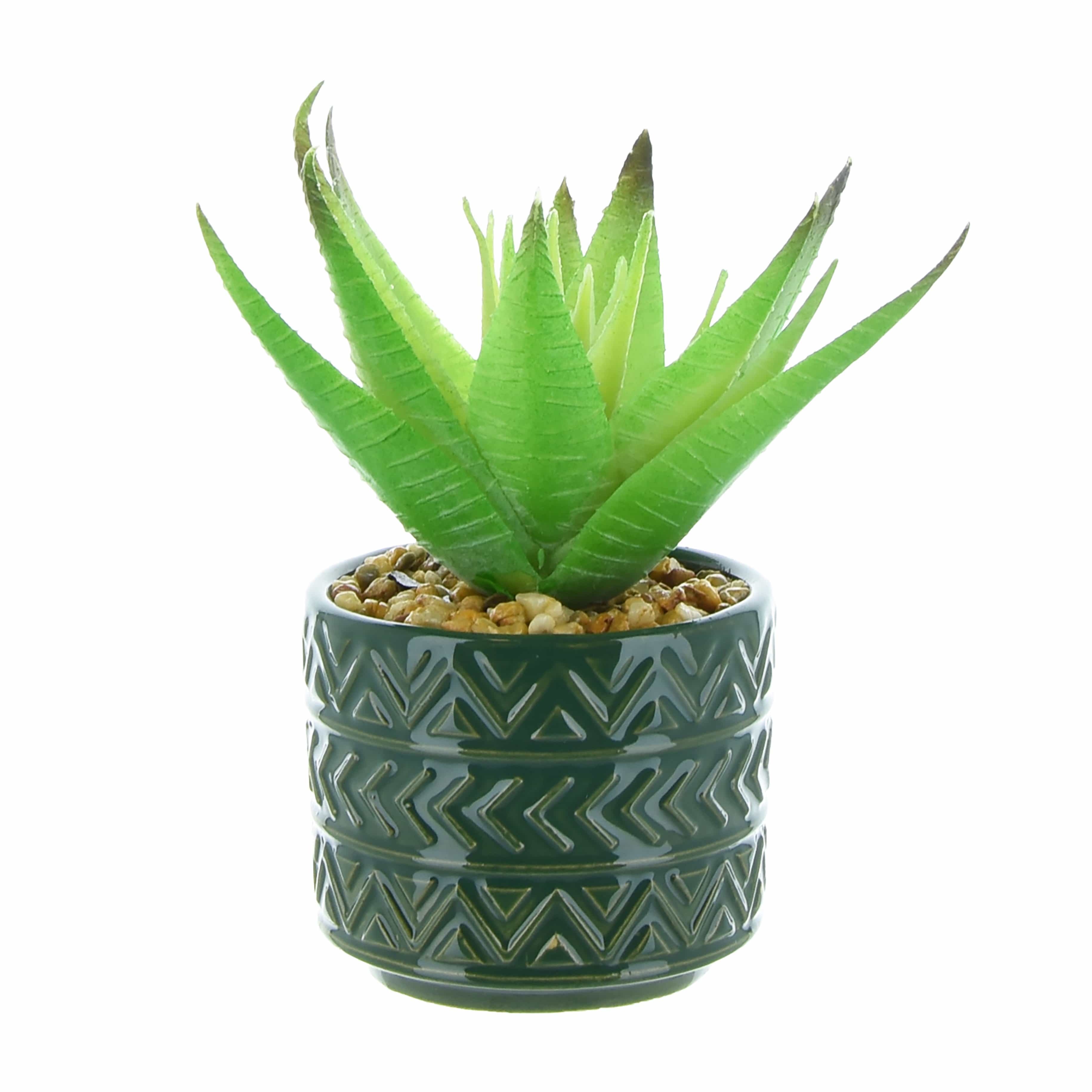 Spikey Succulent - Green Aztec Pot