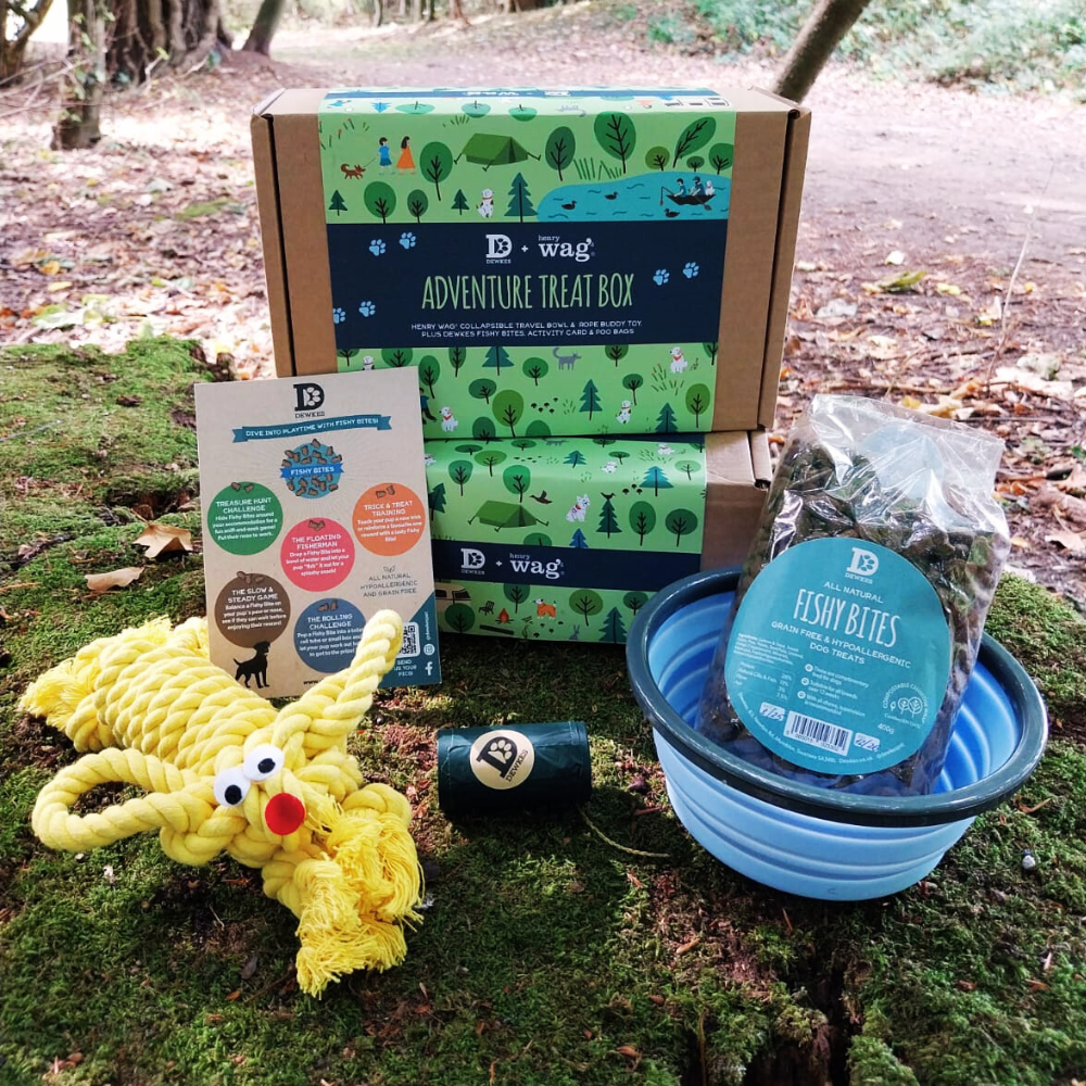 The Happy Tails Adventure Kit