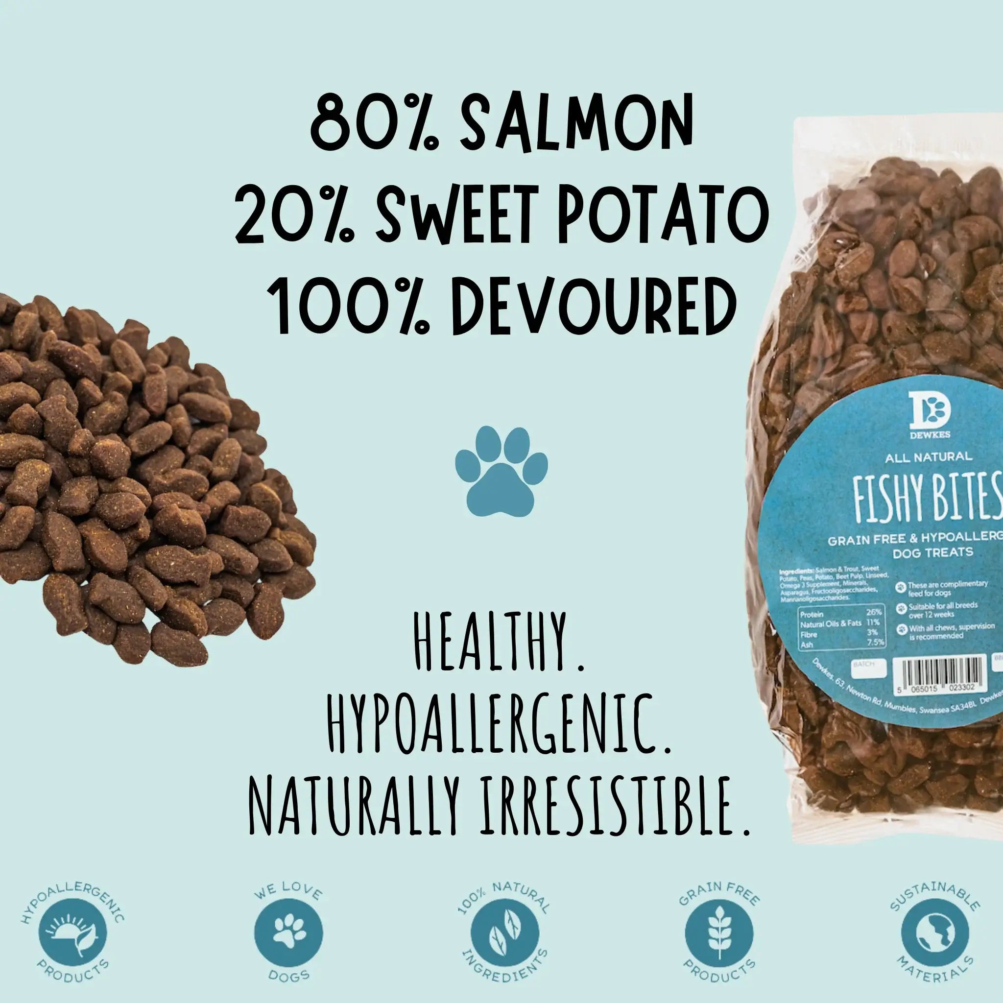 The Happy Tails Adventure Kit