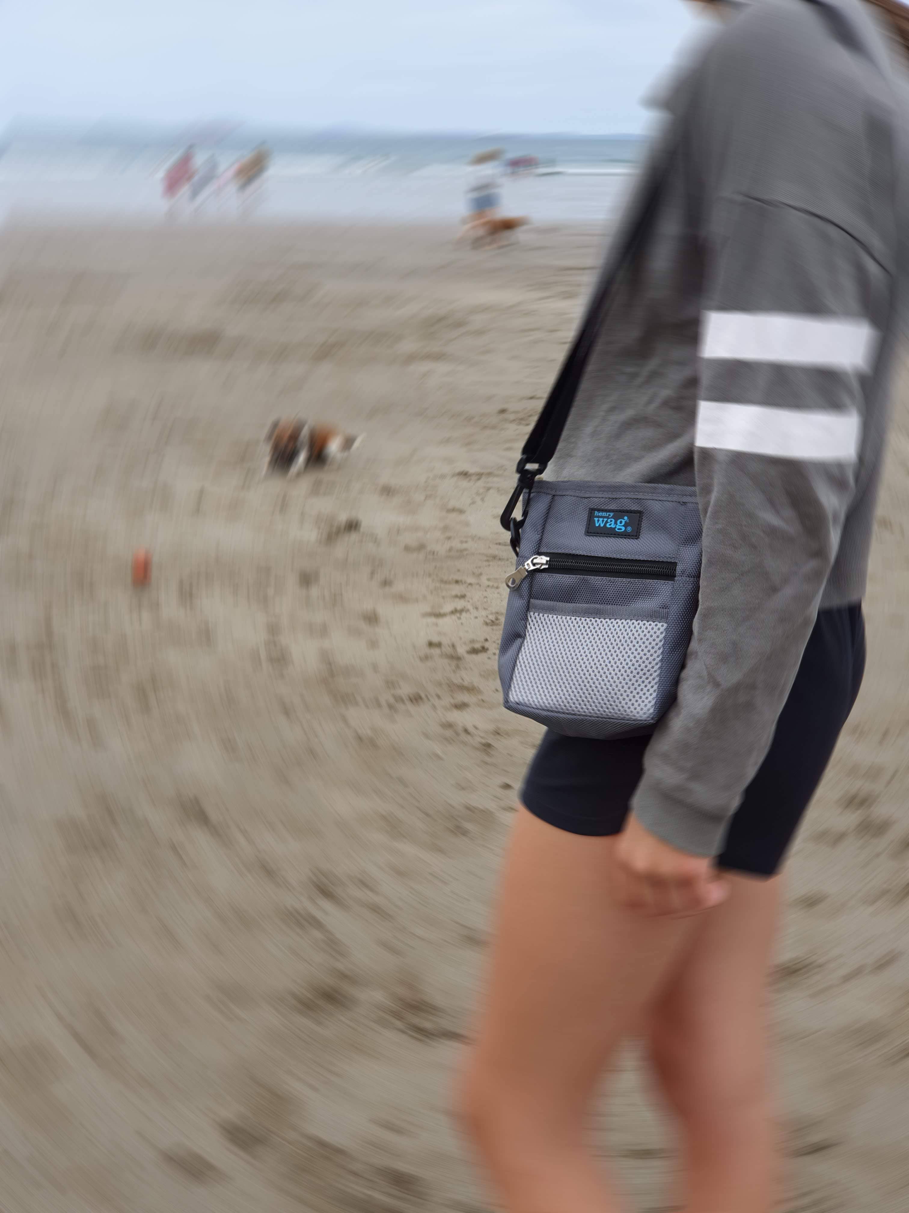 Paws on the Go - Dog Treat & Travel Bag