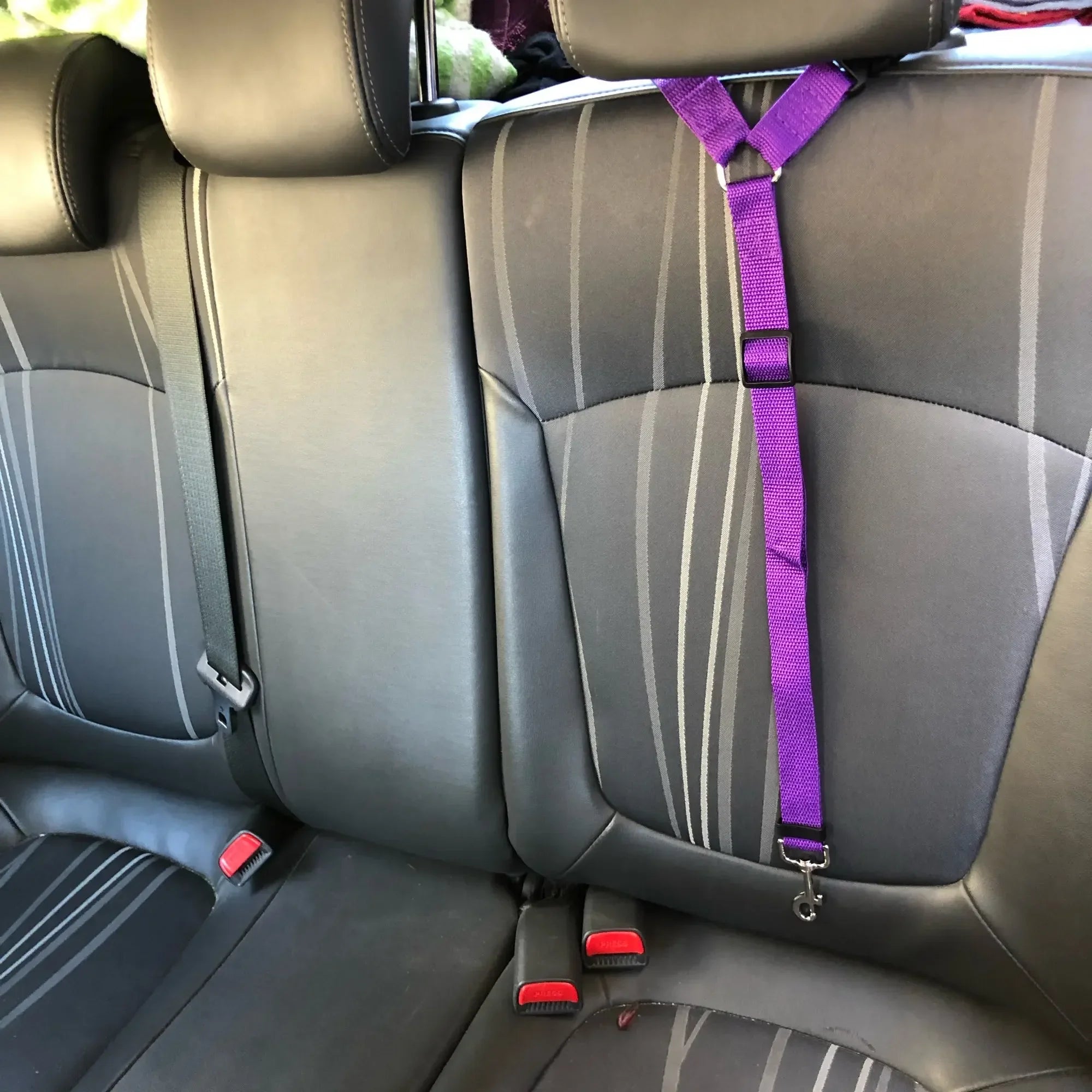 Two-in-one Pet Car Seat Belt Nylon Lead