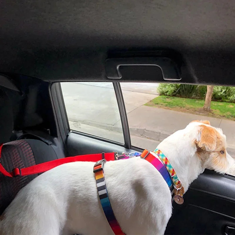 Two-in-one Pet Car Seat Belt Nylon Lead
