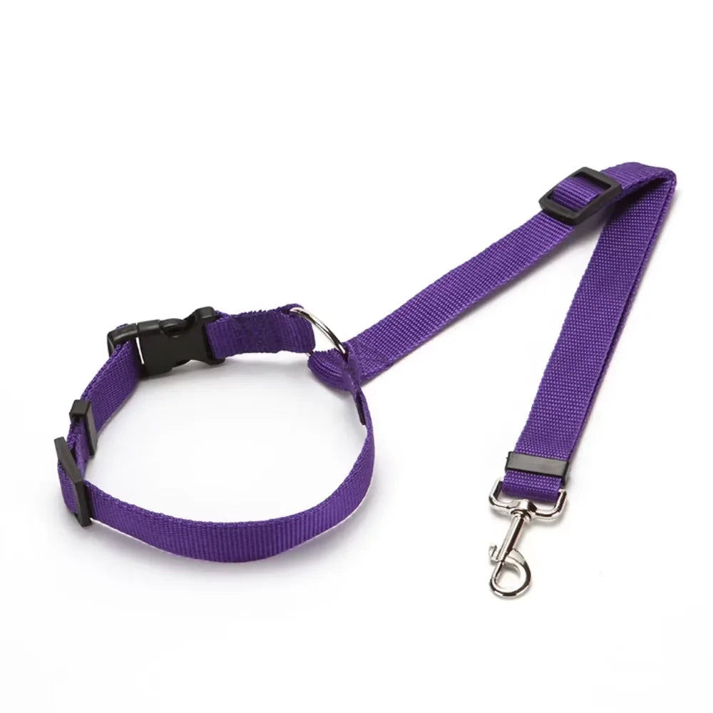 Two-in-one Pet Car Seat Belt Nylon Lead