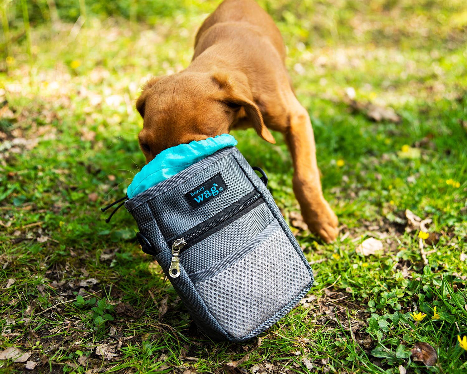 Paws on the Go - Dog Treat & Travel Bag