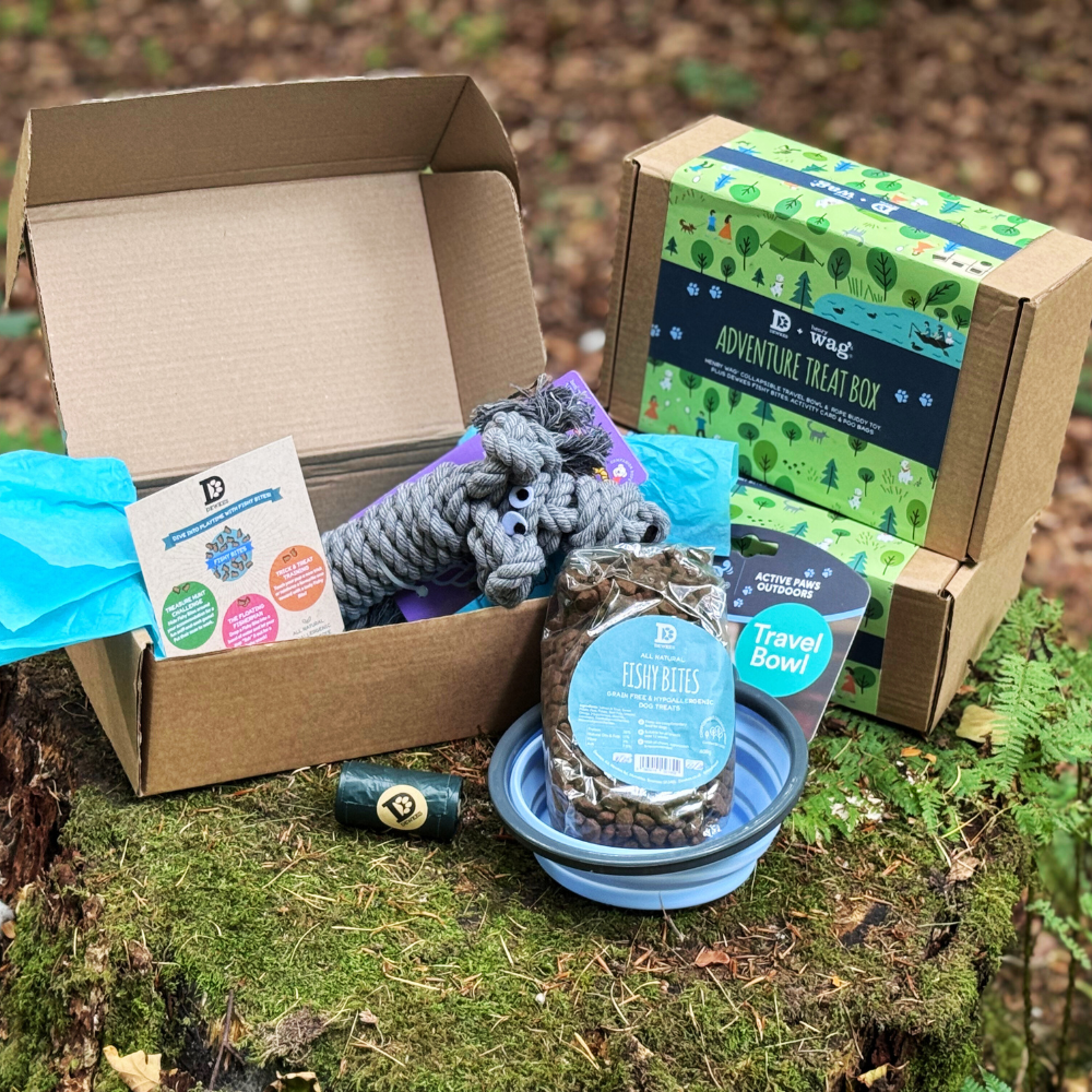 The Happy Tails Adventure Kit