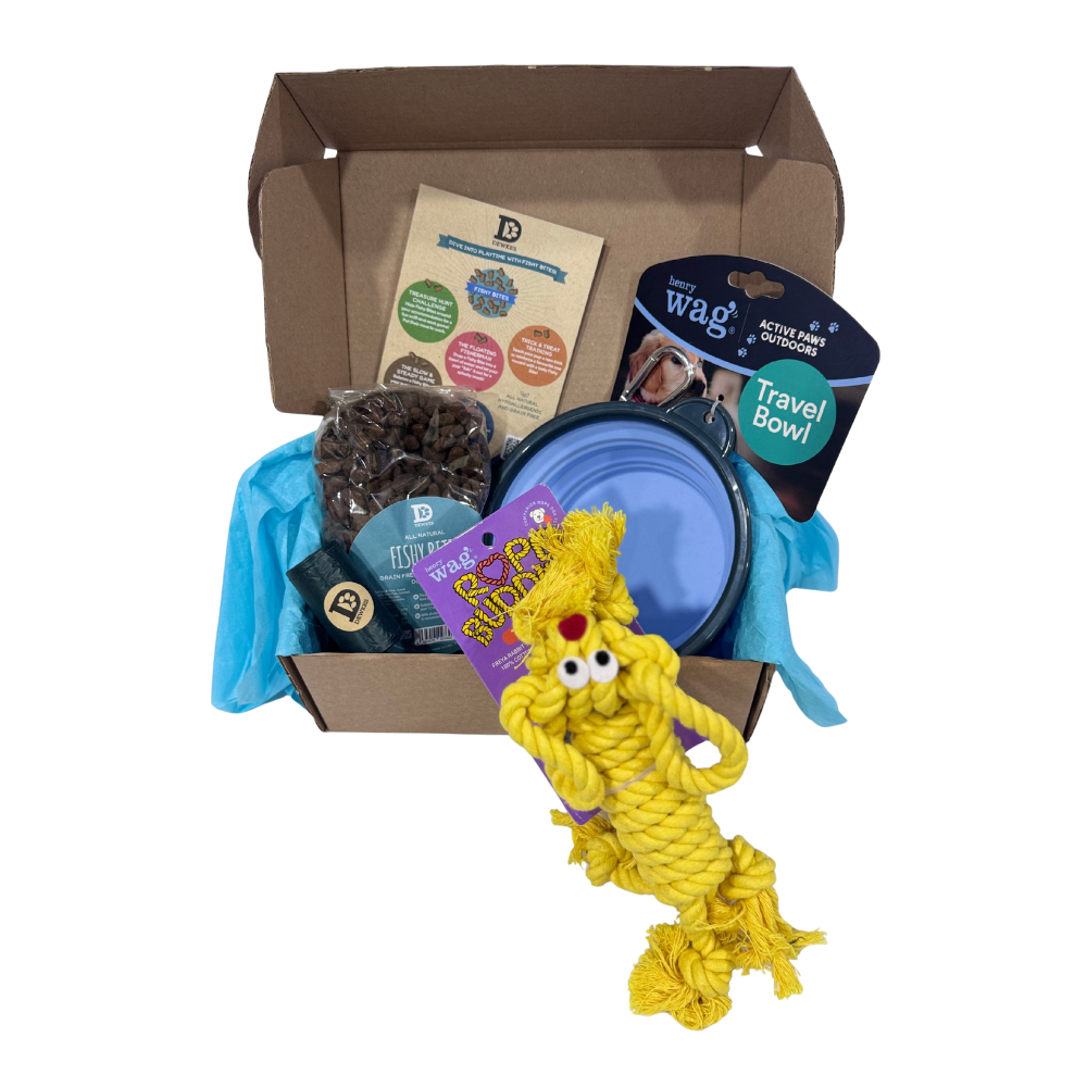 The Happy Tails Adventure Kit