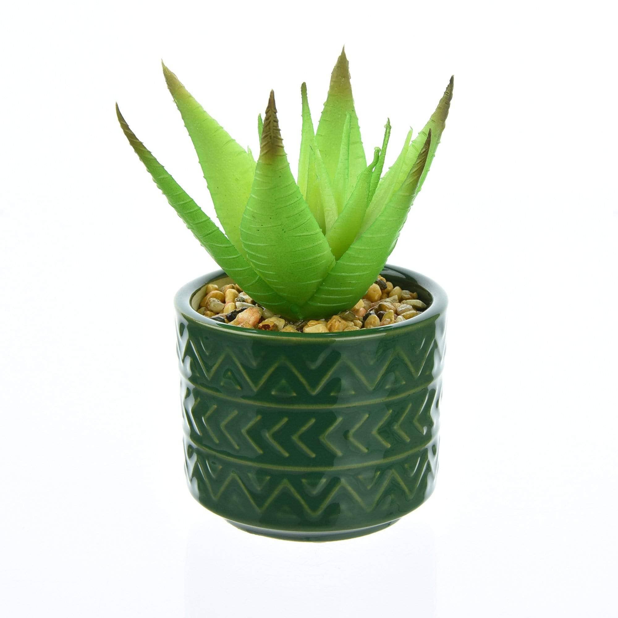 Spikey Succulent - Green Aztec Pot